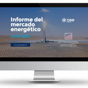 Informe mercado energético julio 2024