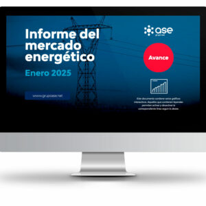 informe mercado energetico enero 2025