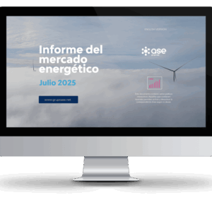 informe mercado energético julio 2025