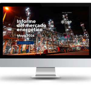 informe mercado energético grupo ase